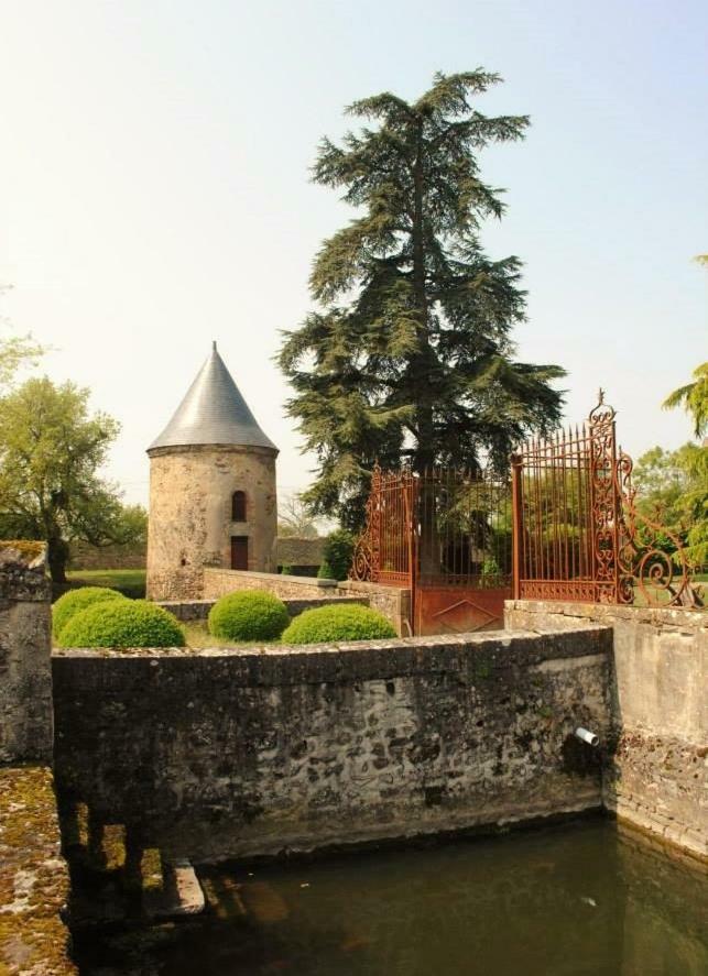 Logis de la Helberdière Cossé-en-Champagne Esterno foto