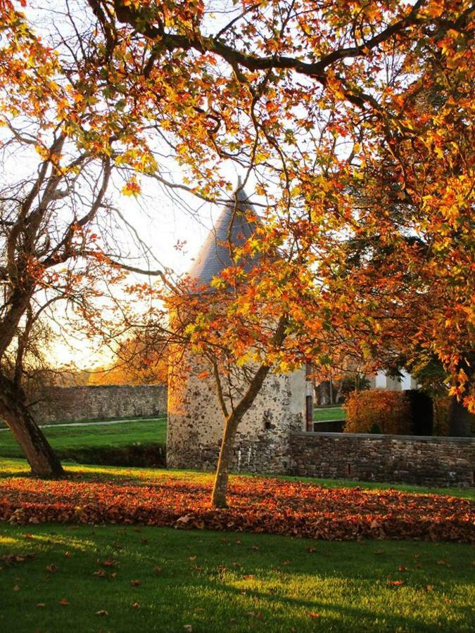 Logis de la Helberdière Cossé-en-Champagne Esterno foto