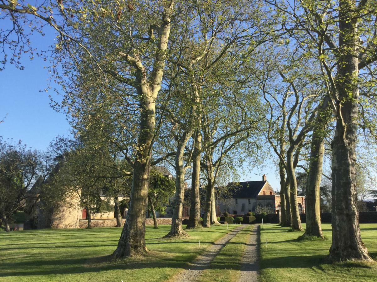 Logis de la Helberdière Cossé-en-Champagne Esterno foto
